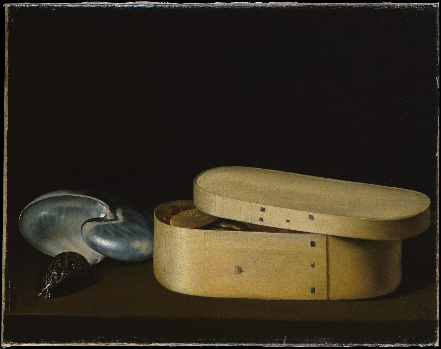 Natura morta con conchiglie e scatola - Metropolitan Museum of Art, New York